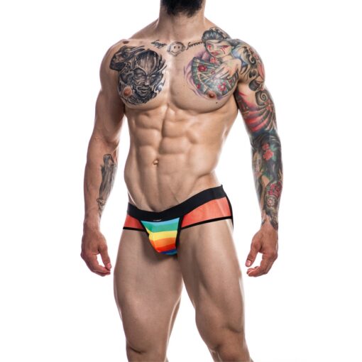 C4M Mixed Jockstrap Rainbow - Image 4