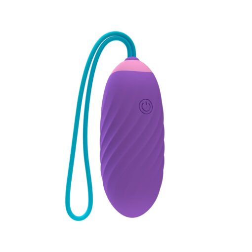 Party Color EGY Vibrating Love Egg Purple